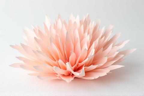 Sculpture en papier délicate inspirée du corail marin